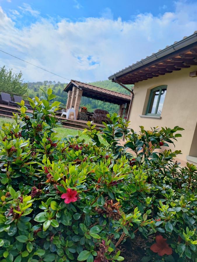 Villa Giulia Fashion B&B Strada in Chianti Exterior photo